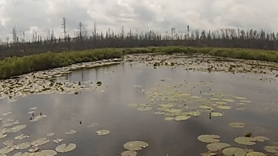 Creek leading to Janis Lake from Spinnan Lake in the BWCA